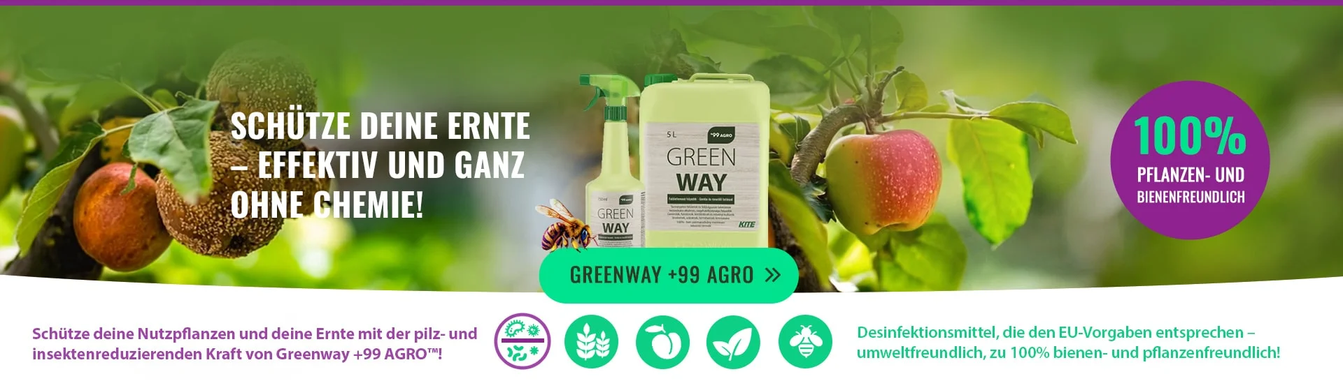 ecowian.store