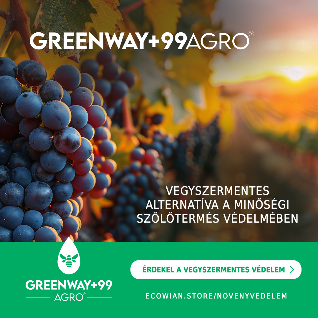 Természetes növényvédelem és hatékony higiénia a borászatban