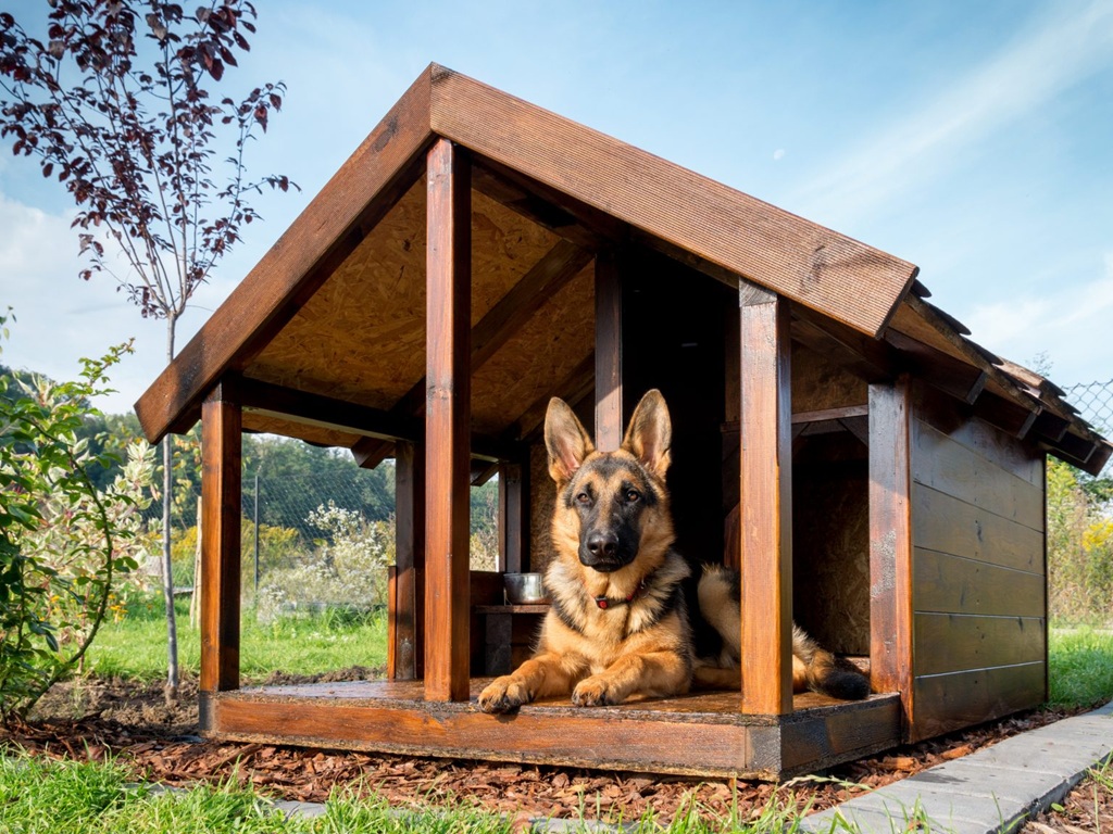 ÖKO Kennel: TELITALÁLAT menhelyeknek, hobbiállat tartóknak!