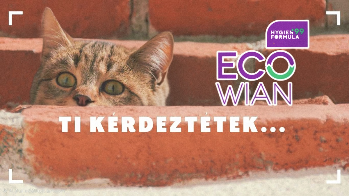 TI KÉRDEZTÉTEK: Mi válaszolunk!